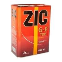 ZIC 167013