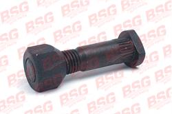 BSG 30230010