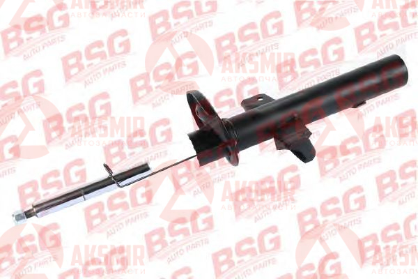 BSG 30-300-040
