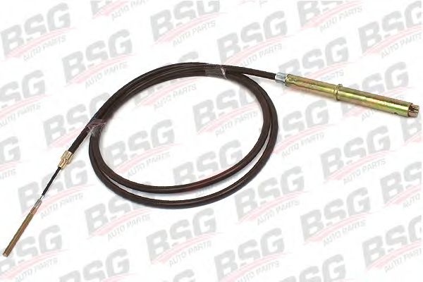 BSG 60765008