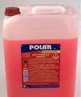 Polar K200021